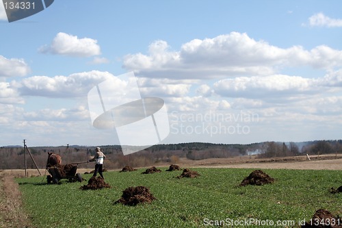 Image of Rural landscape