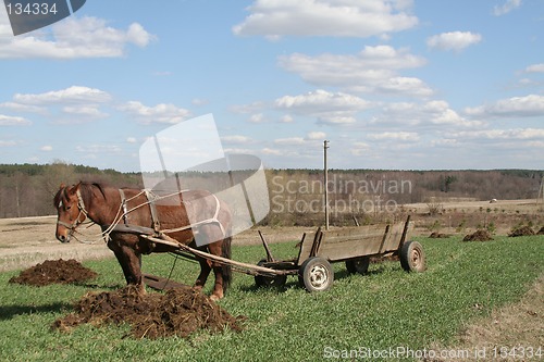 Image of Rural landscape