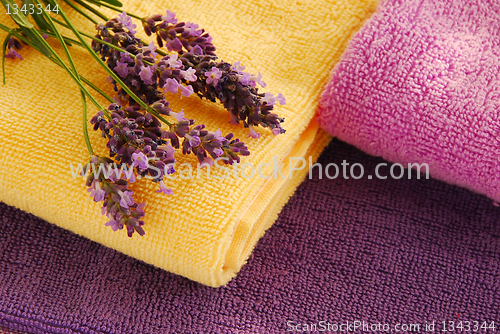 Image of Colorful towels