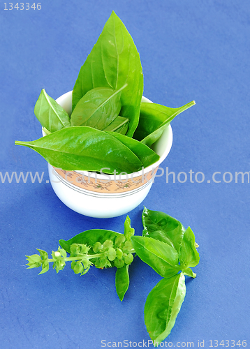 Image of Basil