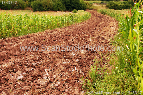 Image of Plowed field