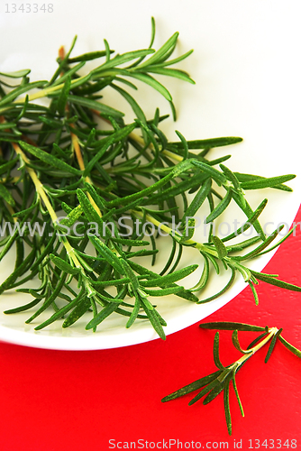 Image of Rosemary