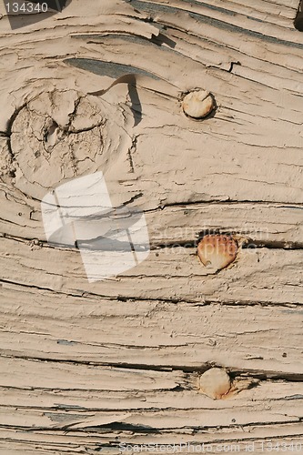 Image of Natural background