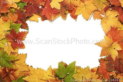 Image of Frame of autumn leaves