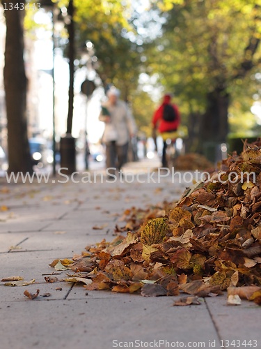 Image of Autumn Leaves