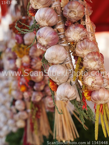 Image of Garlic 