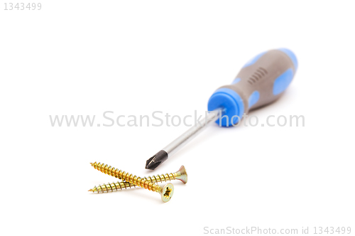 Image of Screwdriver and yellow screws 