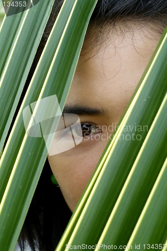 Image of Eye of Asian beauty