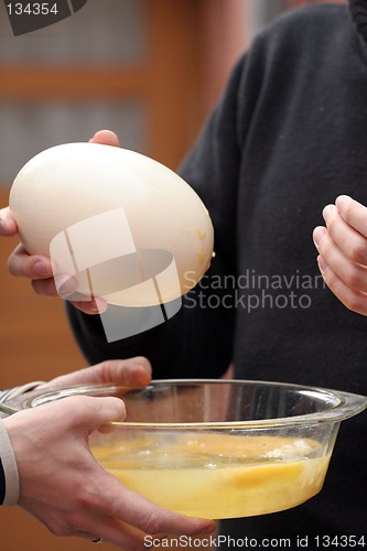 Image of Ostrich egg