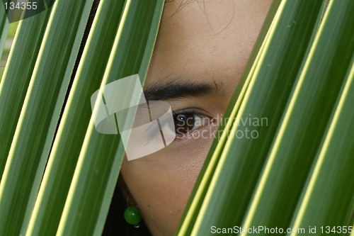 Image of Eye of Asian beauty