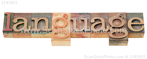 Image of language word in letterpress type