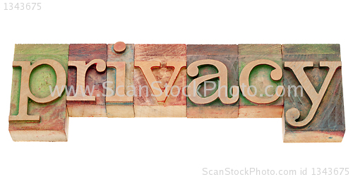 Image of privacy word in letterpress type