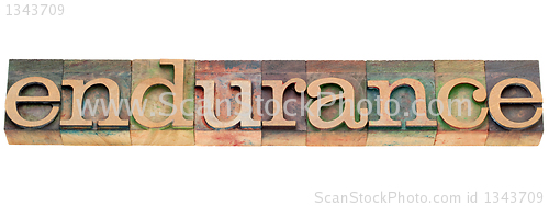 Image of endurance word in letterpress type