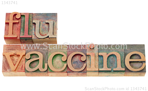 Image of flu vaccine in letterpress type
