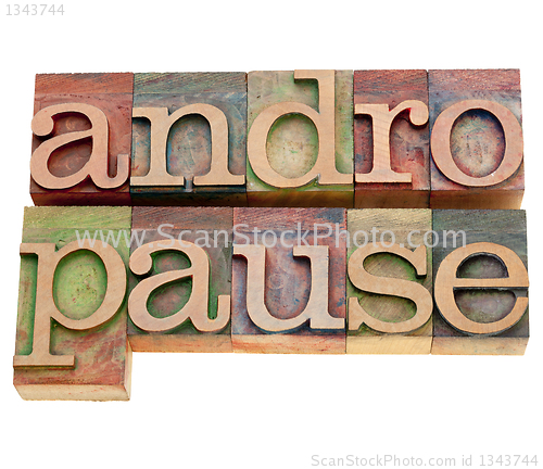 Image of andropause word in letterpress type