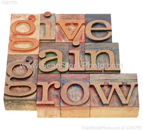 Image of give, gain and grow