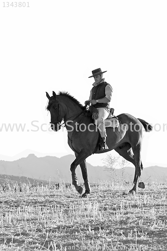 Image of rider and his horse