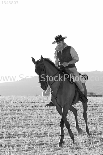 Image of rider and his horse