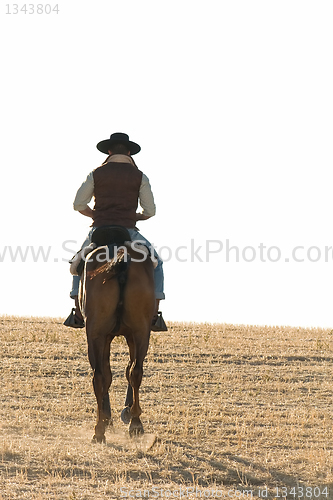 Image of rider and his horse