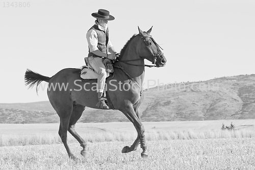 Image of rider and his horse