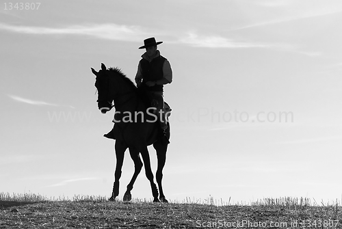 Image of rider and his horse