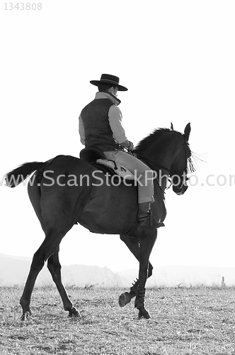 Image of rider and his horse