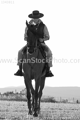 Image of rider and his horse