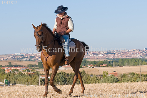 Image of rider and his horse