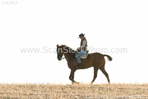 Image of rider and his horse