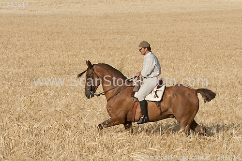 Image of rider and his horse