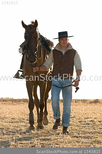 Image of rider and his horse