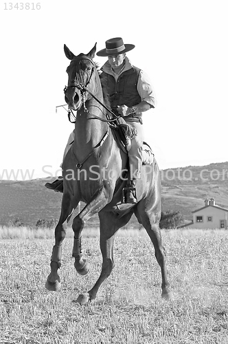 Image of rider and his horse