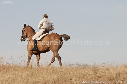 Image of rider and his horse