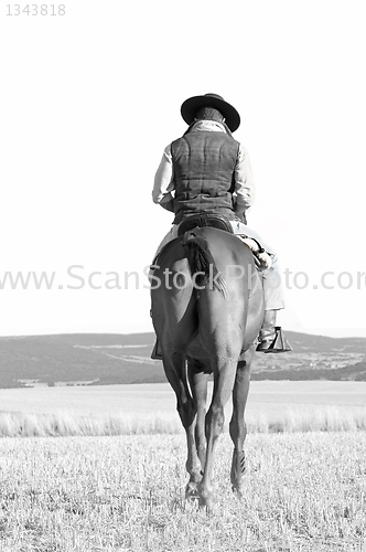 Image of rider and his horse