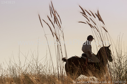 Image of rider and his horse