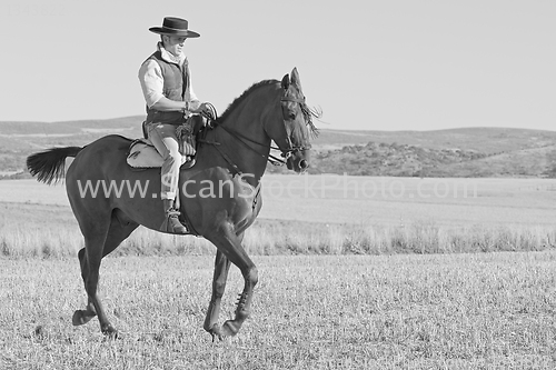 Image of rider and his horse