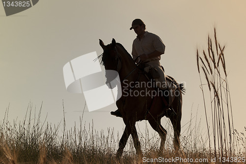 Image of rider and his horse