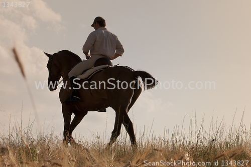 Image of rider and his horse