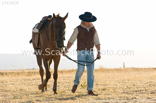 Image of rider and his horse