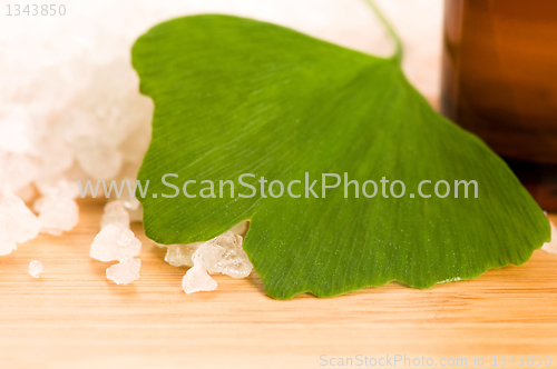 Image of fresh leaves ginko biloba essential oil and sea salt - beauty tr