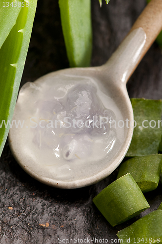 Image of aloe vera juice with fresh leaves