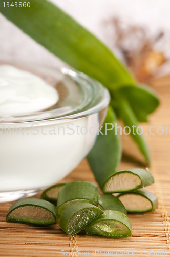 Image of aloe vera - leaves and face cream