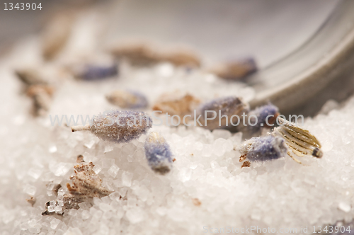 Image of Lavender Sugar