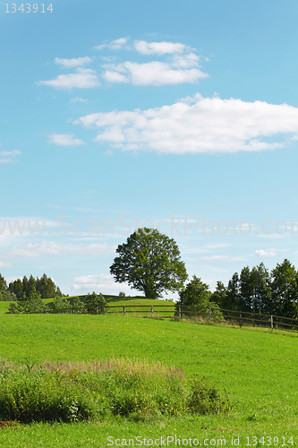 Image of summer landscape