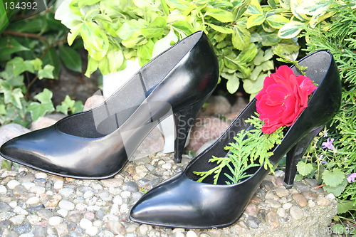 Image of Black pumps and red rose