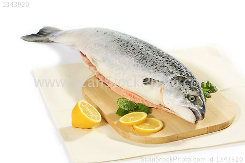 Image of fresh raw salmon