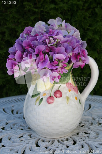 Image of Sweet peas in a lovely pot