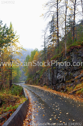 Image of Autumn road