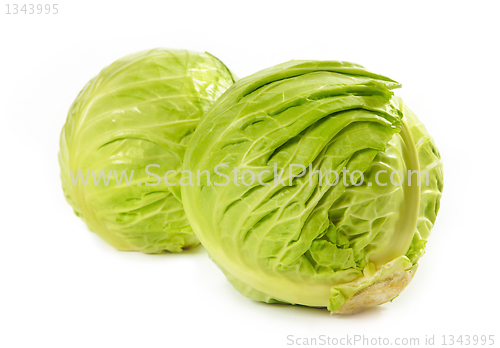 Image of fresh cabbage