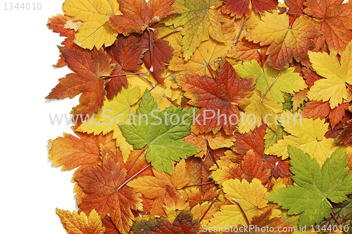 Image of Autumn leaves background 